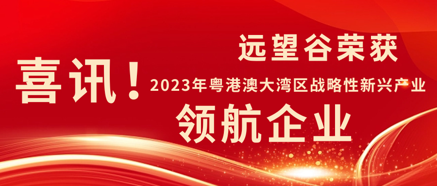 新年迎喜讯 | 热博rb88荣获2023年粤港澳大湾区战略性新兴产业“领航企业”！